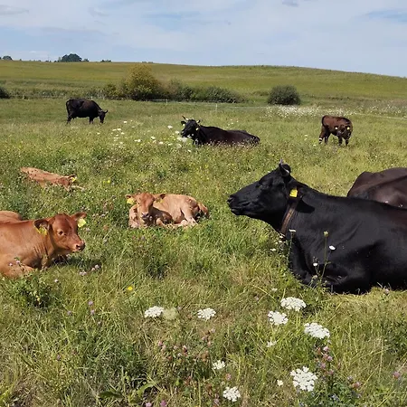 - Mazuria District Farm stay Bogacko